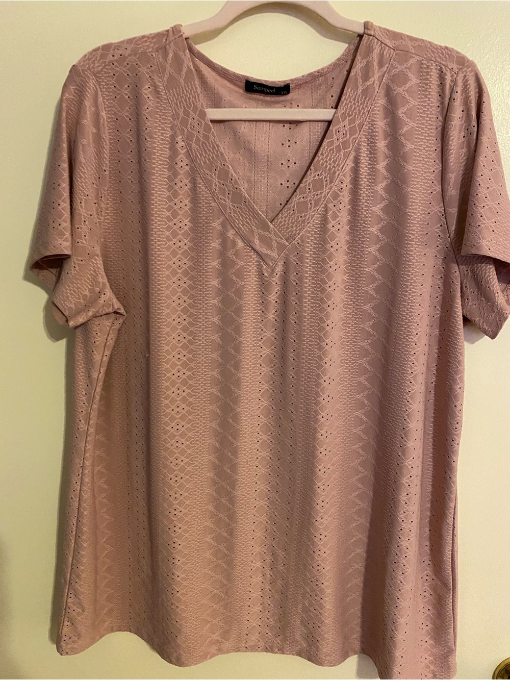 Soft Eyelet V-Neck Blouse in Dusty Rose